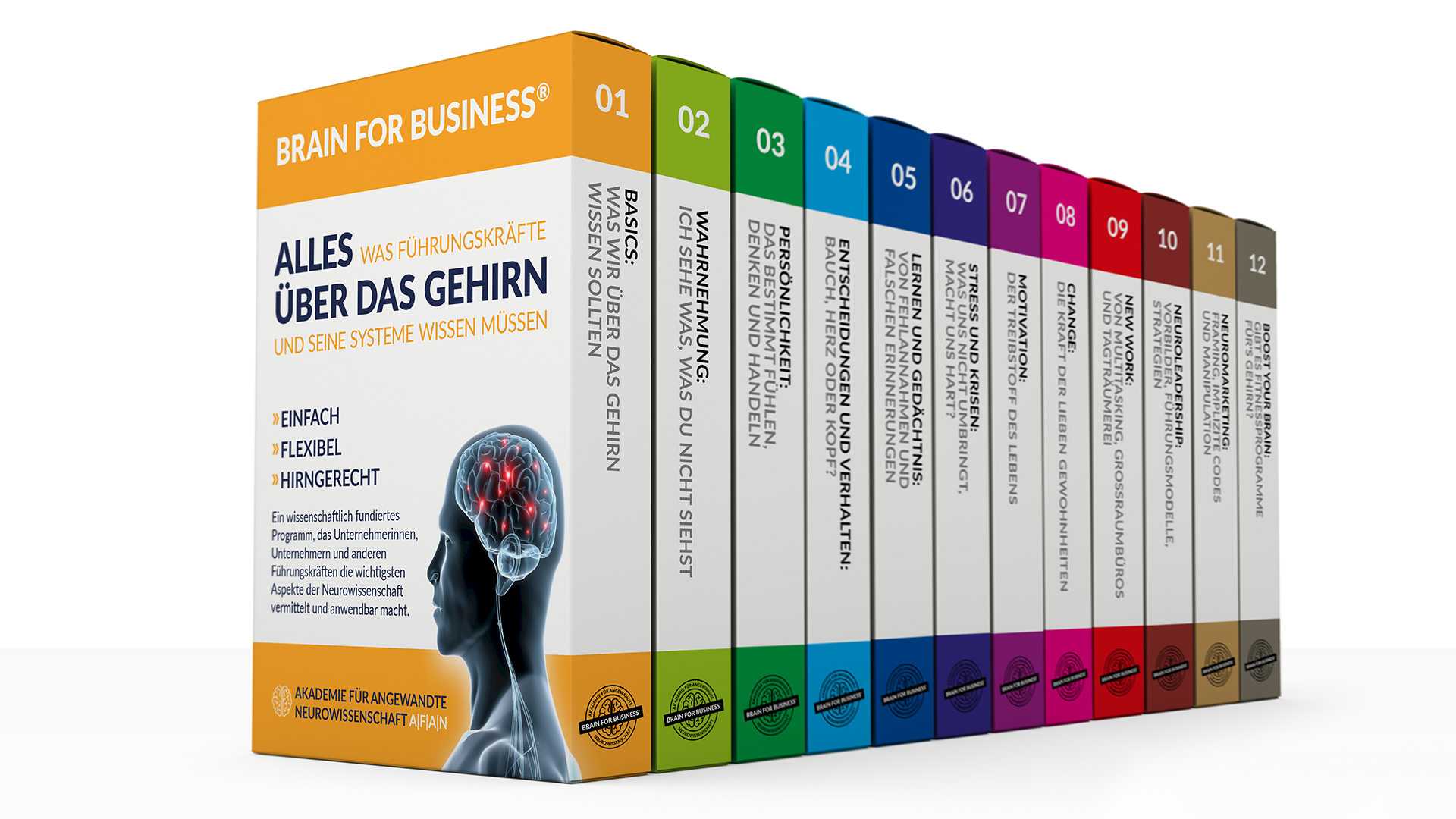 BRAIN FOR BUSINESS® Lernprogramm von Uli Funke